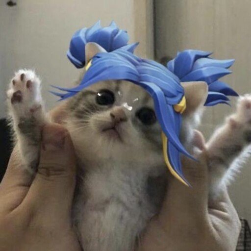 mshmshcat User