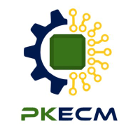 PKECM Services Pvt Ltd logo