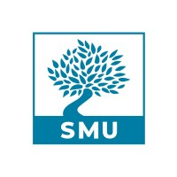 Mediterranean School of Business logo