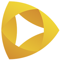 Videosoft Selfservice Solutions logo
