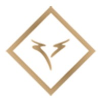 Tauro Capital Partners logo