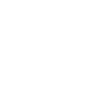Netshoes logo
