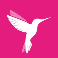 Online Birds logo