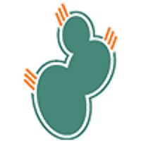 Cacttus logo