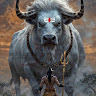 Pawan Kumar Gupta