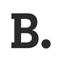 Burt Intelligence logo