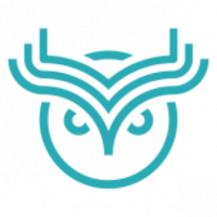 WiseSoft logo