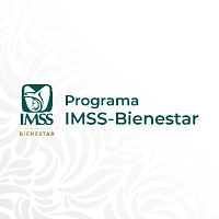 IMSS logo