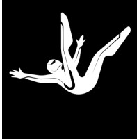 Fall Damage Studio logo