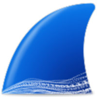 Wireshark logo