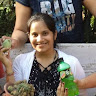Urvashi Pandey