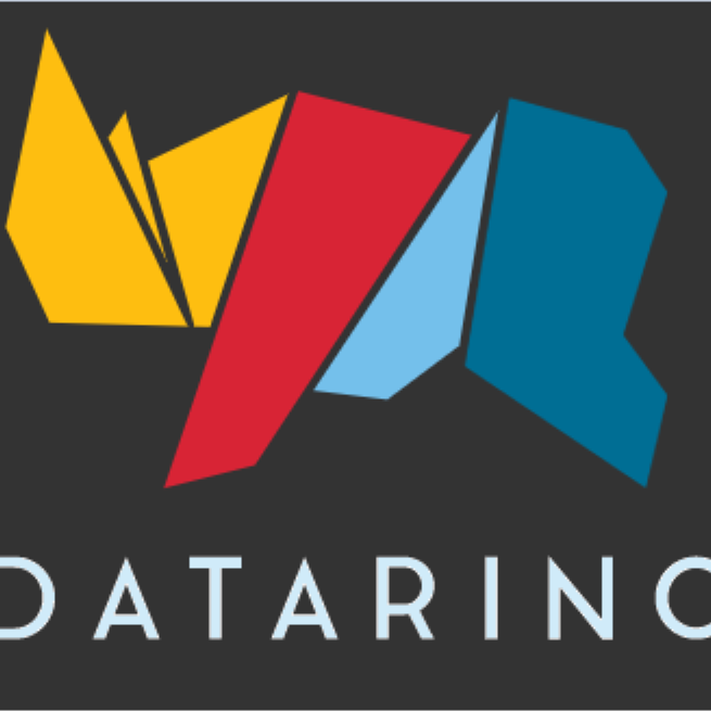 Datarino, datarino.financial logo