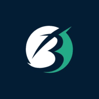 Bex-IT digital solutions logo