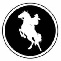 Agence Nouveau Western logo