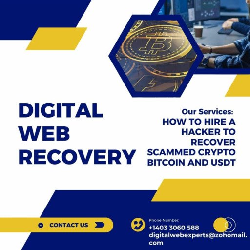 DIGITAL WEB RECOVERY logo