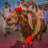 Muhammad Talha