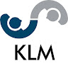 KLM Consulting LLC