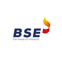 BSE Institute logo