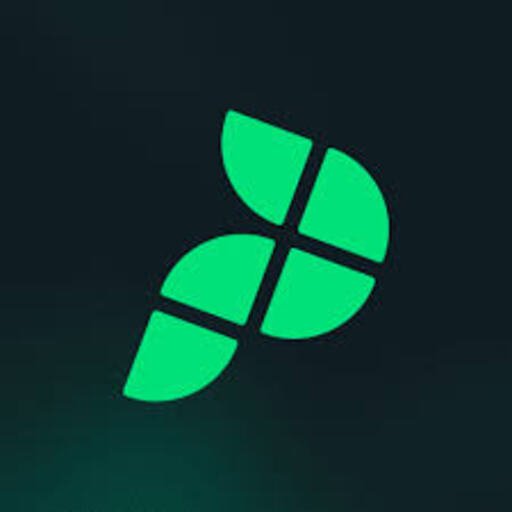 Playbypoint logo