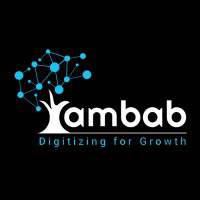 Ambab infotech pvt ltd logo