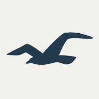 Hollister Co logo