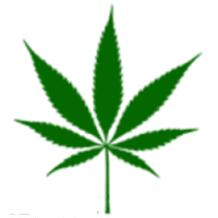 GreenHealth Docs logo
