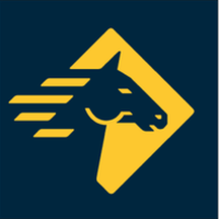Paladin Security logo