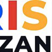 RISE Mzansi logo