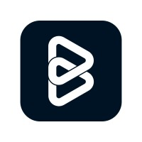 Bluvium India Pvt. Ltd. logo