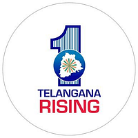 TSWREIS, AR palli logo