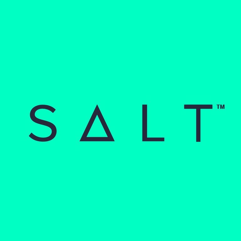 SALT logo