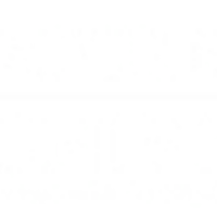 Jaipur National University logo