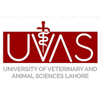 University of Veterinary and Animal Sciences Lahore logo