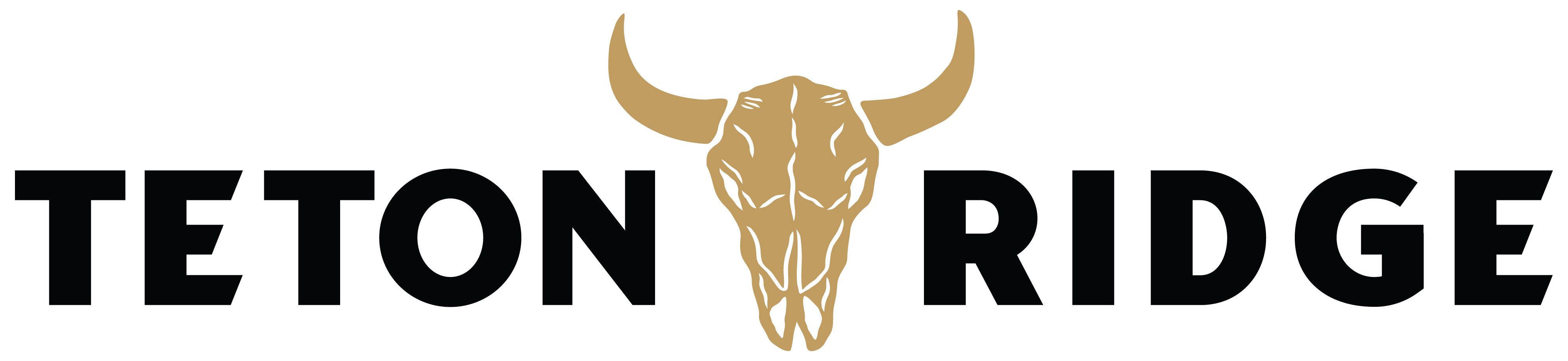 Teton Ridge logo