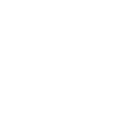 Universidad Mayor de San Simón logo