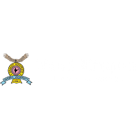 Bharati Vidyapeeth University logo