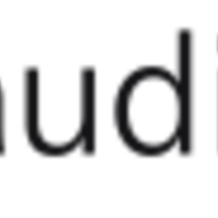 AudioEye logo