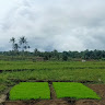 Yermia Turangan