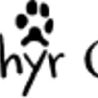Zephyr Gear logo