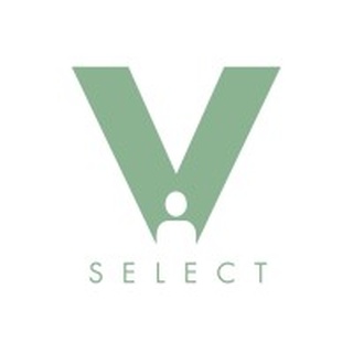 V-SELECT logo