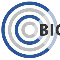 Big Rattle Technologies logo