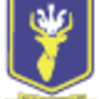 Nairobi School logo