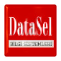 Datasel logo