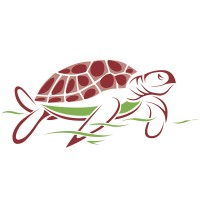 Green Turtle Gaming Technologies logo