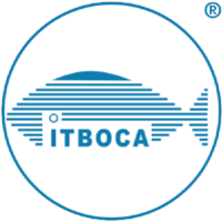 Instituto Tecnológico de Boca del Río logo