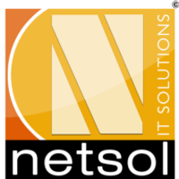 Netsol IT Solution Pvt. Ltd logo