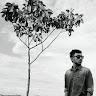 Numan Mahfuz
