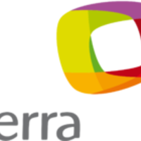 Terra Networks logo