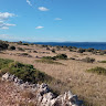 Manfredi Vale
