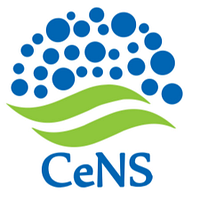 Centre for Nano and Soft Matter Sciences logo
